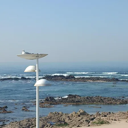 Cachinnans & Hostel Vila do Conde