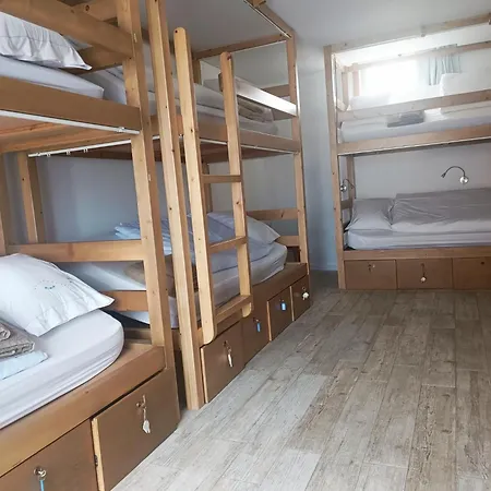 Cachinnans & Hostel