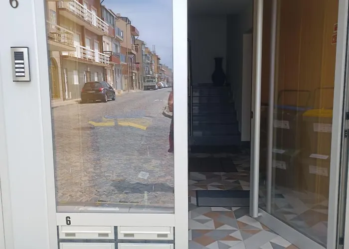 Cachinnans & Albergue