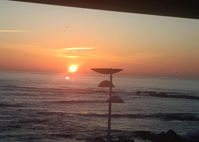 Cachinnans & Vila do Conde