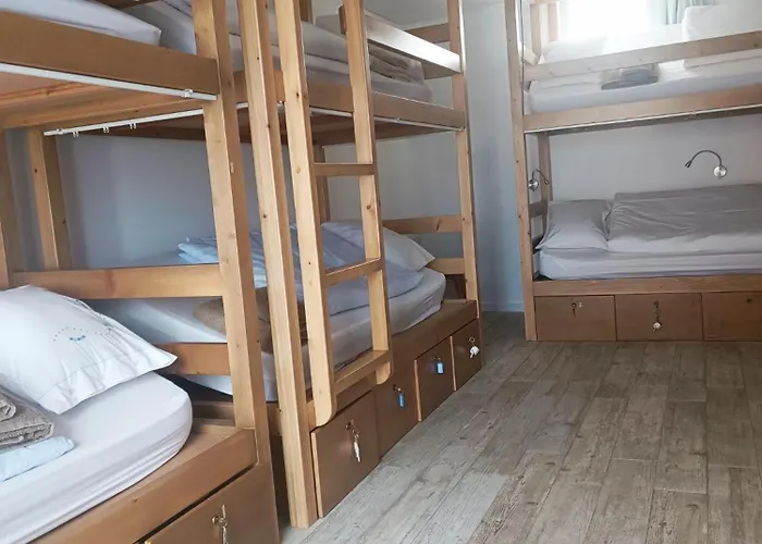 Cachinnans & Albergue